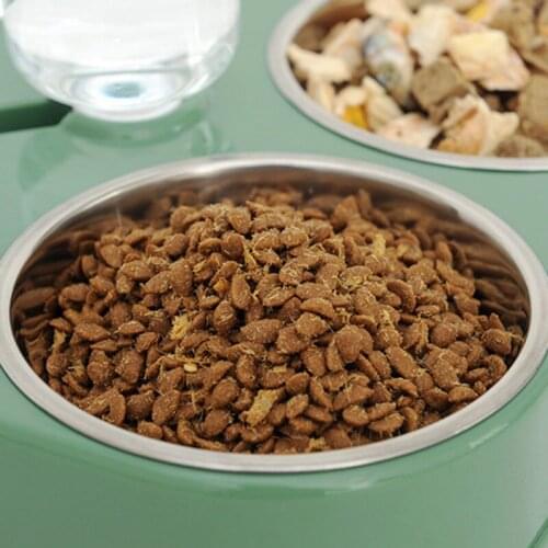 500ML Dog Water Bottle Dog Feeder Bowl Cat Automatic Drinking Bowl Cat Food Bowl Pet Stainless Steel Double Bowl 3 Bowls