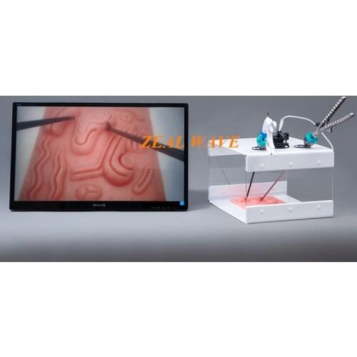 Laparoscopic Training Simulator Gynecological Surgery Training Simulator Straight Rod Endoscope
