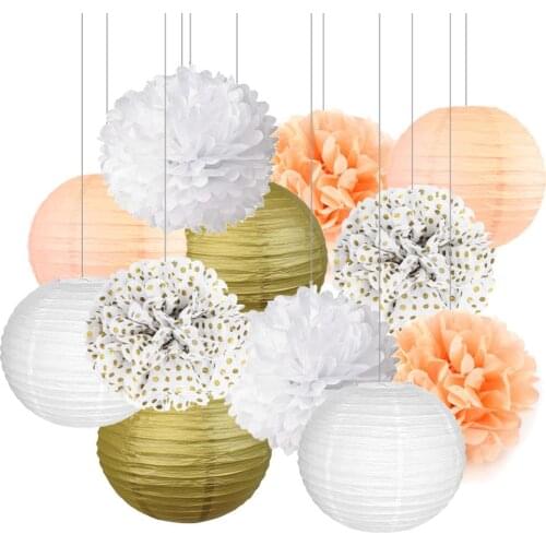 12 pcs Decorative Party Paper Ball Set for Wedding Baby Shower Indoor Outdoor Hanging Paper Lanterns Tissue Paper Poms Flowers
