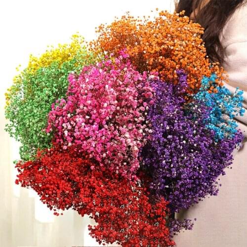 60cm Gypsophila Babysbreath Million Stars Fresh-Cut High Quality Natural Preserved Dried Flower Photograph Home Art Decoration