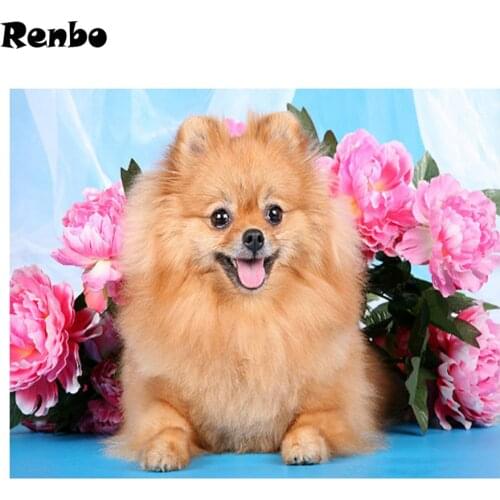 Diamond Painting pet,5D,DIY,3D"Pomeranian"animal Diamond Embroidery,Cross Stitch,Diamond Mosaic,Needlework,Picture,wall Decor