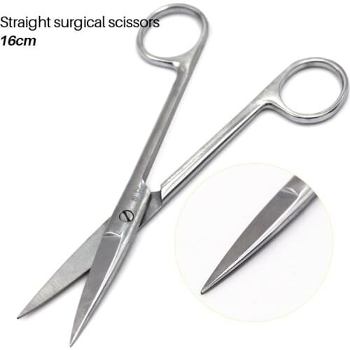 16cm Dental Surgical Scissors Stainless Steel Straight And Curved Hemostatic Forceps Pet Fishing Forceps Medical Dental Tool
