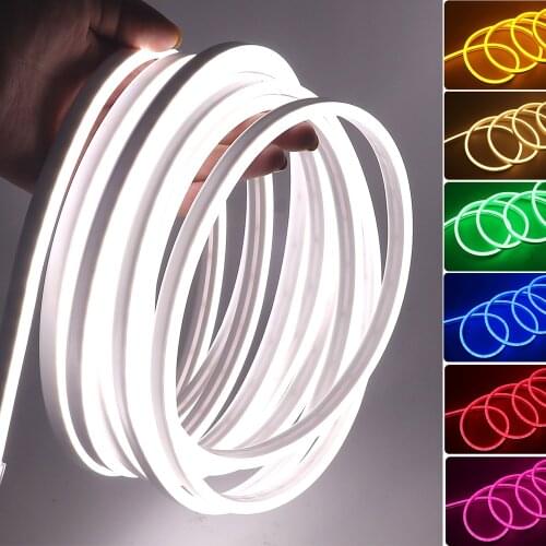 Neon Strip DC 12V Waterproof SMD 2835 120LEDs/m Red Blue Green White Warm Flexible Tape Ribbon LED Strip Light 0.5m 1m 2m 5m
