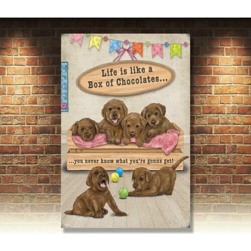 Life Is Like A Box Of Chocolates Labrador Puppies Small Metal/Steel Wall Sign