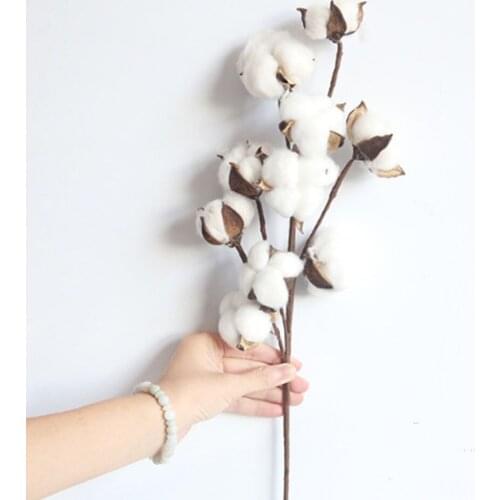 10 Head Dried Flower Long Branch Cotton Simulation Cotton Tree Branch Decor Artificial Flowers For Home Party Office Wedding