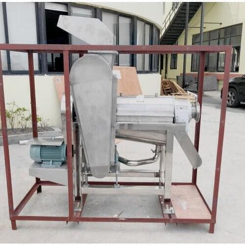 2021 Apple screw juicer orange juice extractor machine FREE CRF BY SEA