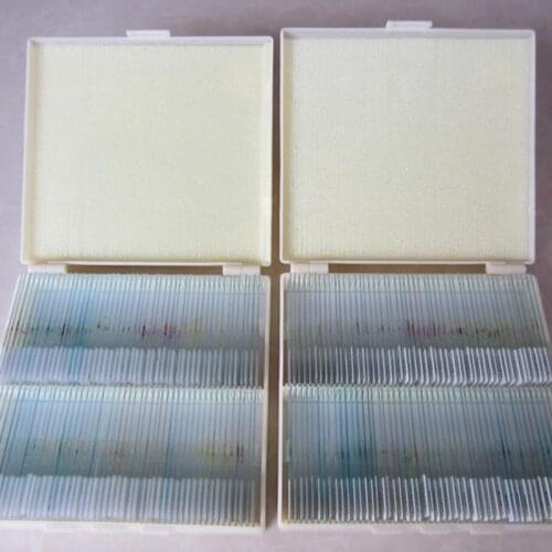 200pcs Professional Biological Microscope Lab Laboratory Plant Animal Insect Prepared Specimen Glass Microscope Slides