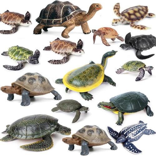 Simulation Ocean Sea Life Animal Model Sea Turtle Series Action Figures Kids Collection Cognition Educational Children Toys Gift