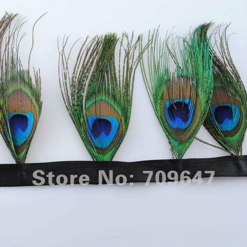 Free Shipping!HOT ! 2Meters/Lot Height 10cm Nature Colour Peacock Eye Feather Trim Cloth Belt with 30pcs Peacock Eyes