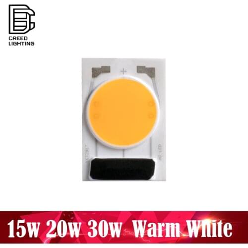COB LED Lamp Chip 15W 20W 30W AC 220V Warm White No Need Driver LED Flood Light Bulb Chip DIY Spotlight Floodlight Chip