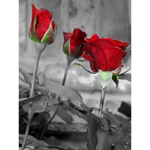 Flower Rose DIY Embroidery Cross Stitch Kits Needlework Craft Set Printed Canvas Cotton Thread Home Decoration For Living Room