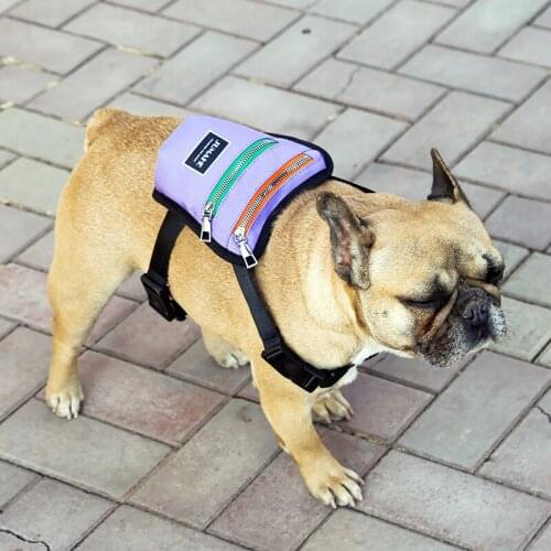 Pet Supplies New Products Going Out Dog Self Backpack Pet Travel Bag Self Carrying Snacks Training Package Pet Accessories