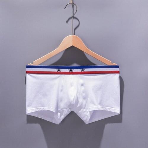 2021 Brand Underpants Man Slip Gay Lingerie Cotton Pouch Boxers For Men Underwear Sexy Panties Mens Solid Boxer Shorts
