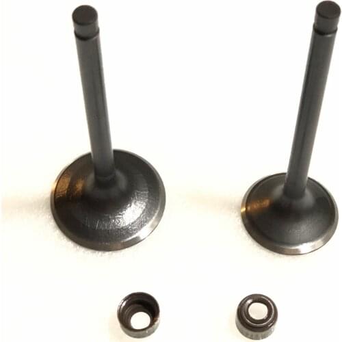 Valves & Oil Seal Kit Fit Yamaha Grizzly Wolverine Kodiak Big Bear Raptor 350