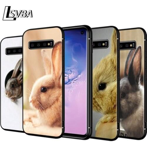 Cute Lovely Rabbit For Samsung Galaxy Note 20 10 9 S10 Ultra S10E S9 S8 Plus A21S A51 A71 5G Black Phone Case