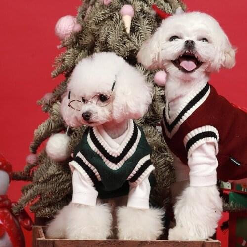 SLEWELTOGHT Clothes And Footwear For Dogs