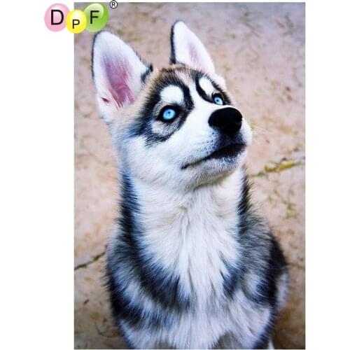 DPF DIY Dogs show 5D diamond mosaic full square crafts diamond embroidery needlework diamond painting cross stitch home decor