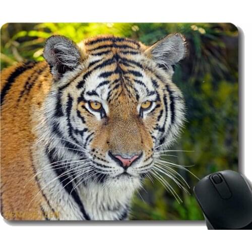 Mouse Pad,Tiger Predator Big Cat 187945 Gaming Mouse Mat