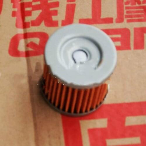Suitable for Small Xunlong BJ150-31 Hongbaolong BJ150-29B Oil Filter Core Filter