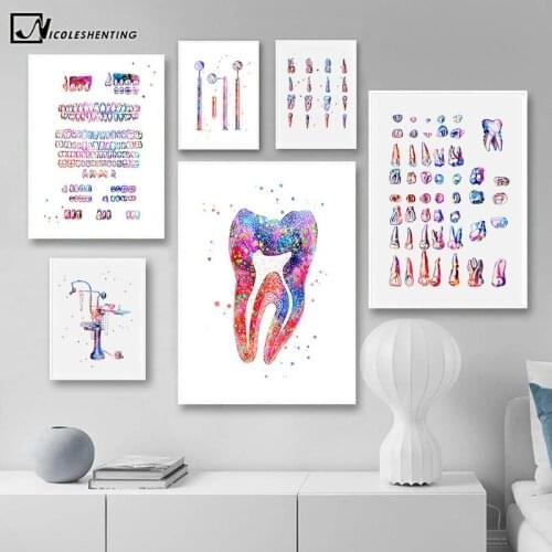 Tooth Anatomy Poster Color Dental Art Canvas Print Minimalist Medical Painting Decorative Picture Student Hospital Room Decor