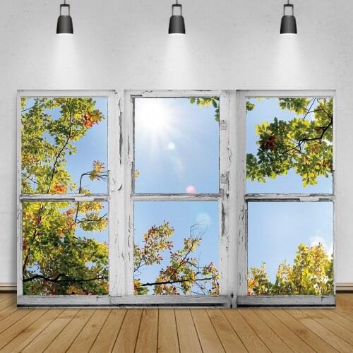 Photo Backdrops For Photography Gray Rural Window Autumn Maples Tree Sunny Day Scenic View Photographic Background Photo Studio