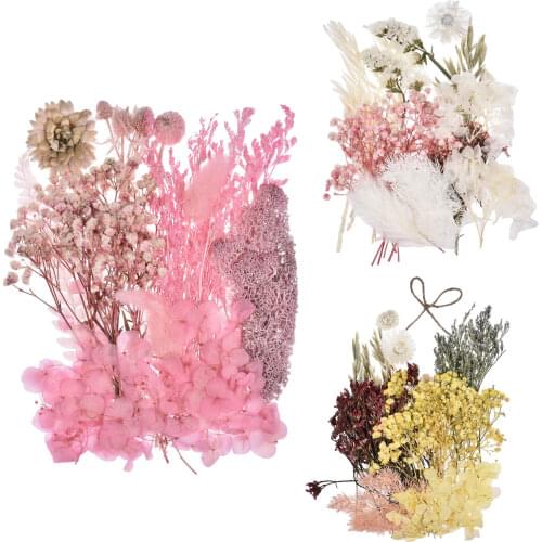 Natural Dried Flower Dry Plants For Aromatherapy Candle Epoxy Resin Pendant Necklace Jewelry Making Craft DIY Accessories