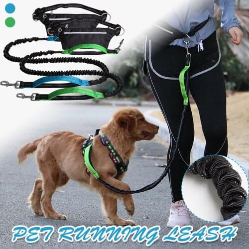 MUQGEW Leashes For Dogs
