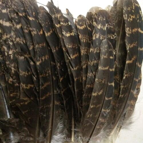 Hot Selling! Perfect 100pcs High Quality 5-7 inches / 12-18 cm USA Wild Turkey Tail Feathers Multipurpose Decoration