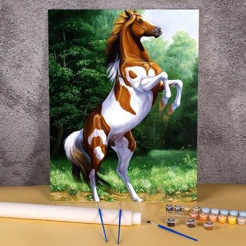 Horse Animal DIY Paint By Numbers Complete Kit Acrylic Paints 40*50 Painting On Canvas New Design For Kids Handiwork Art