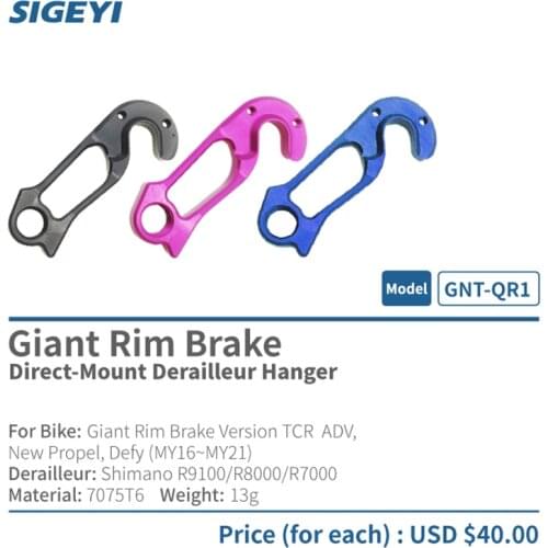 Sigeyi GNT-QR1/QR2/TH1/TH2 bike frame integrate rear derailleur Direct-mount hanger for giant disc brake tcr propel defy