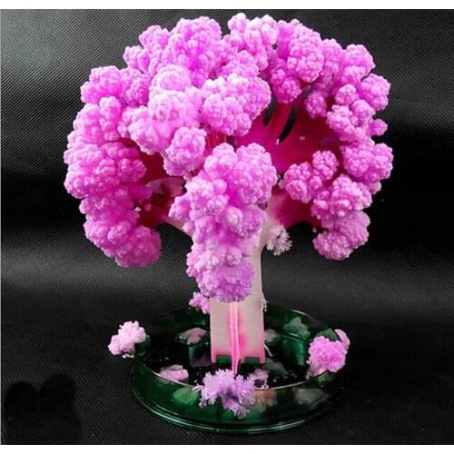 2019 135mm H Japan Pink Big Magic Grow Paper Japanese Sakura Tree Magically Growing Trees Kit Desktop Cherry Blossom Kids Toys