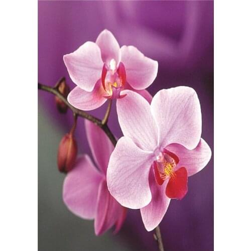 Full round diamond painting Butterfly flowers 5D DIY diamond embroidery mosaic landscape art kit home decoration