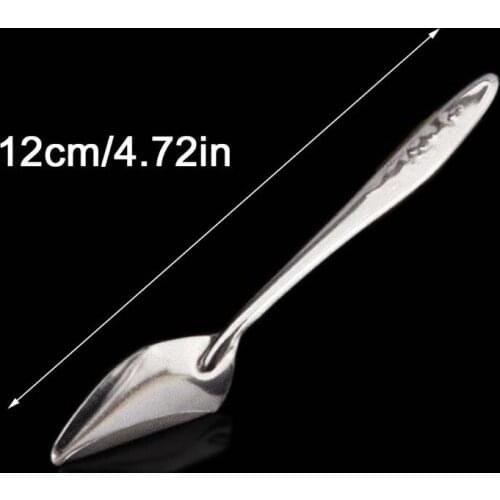 5Pcs Baby Bird Pointed Feeding Spoon Stainless Steel Milk Medicine Parrot Feeder H58C