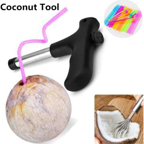 1PC Stainless Steel Coconut Flesh Planer + 1PC Opener Tool + 100PC Straws Kitchen Fruit Vegetable Meat Tools Fish Scale Scraper