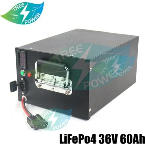 Metal case deep cycle lifepo4 36V 60ah battery with BMS for scooter bike Tricycle Solar backup power golf cart +10A charger