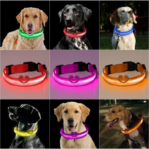 Pet Dog Collar LED Luminous Night Safety Anti-lost Collar Dog Flashing Luminous Lead Dog Luminous Fluorescent Collar Pet Supplie
