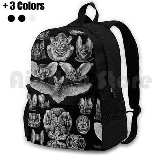 1904 Haeckel Chiroptera Outdoor Hiking Backpack Riding Climbing Sports Bag Vintage Bat Public Domain Halloween Science