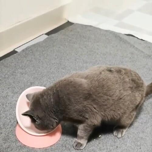 Pet Bowl Tilting Cat Bowl Dog Bowl at Any Angle Separable Safety Silicone Base Non-slip Wear-resistant Bull Bowl