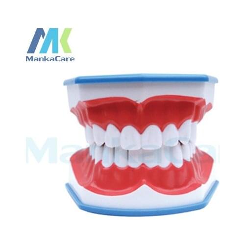Manka Care - Teeth Brushing Model with tongue Oral Model Teeth Tooth Model