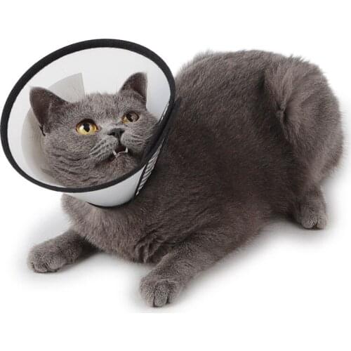 Transparent Anti-bite Cat Dog Elizabeth Ring Beauty Cover Medicine Protection Ring Pet Supplies