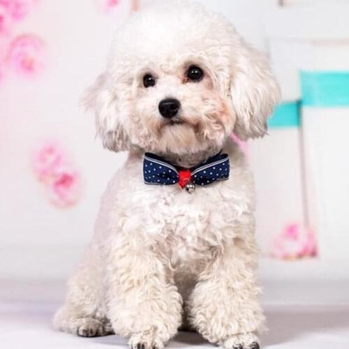 Cat Dog Collar Tie With Bell Adjustable Necktie Puppy Kitten Bowtie Pet Supplies AUG889