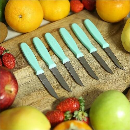 Fecra the Rooc 6 Piece Set Fruit Knife Pink Green Sharp Durable Stylish Kitchen
