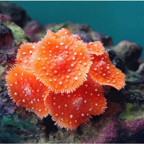 Fish Tank Decoration Simulated Coral Aquarium Landscape Ornament Aquarium Decor