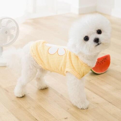 Dog clothes spring and summer small dog pet clothes cat law fighting clothes bichon spring puppy dog vest clothing fashion cute