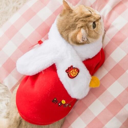 Halloween Costume Outfit for Dogs Cats Two Feet Clothes Funny Pet Clothes Halloween Dog Costume cat hat sunglasses