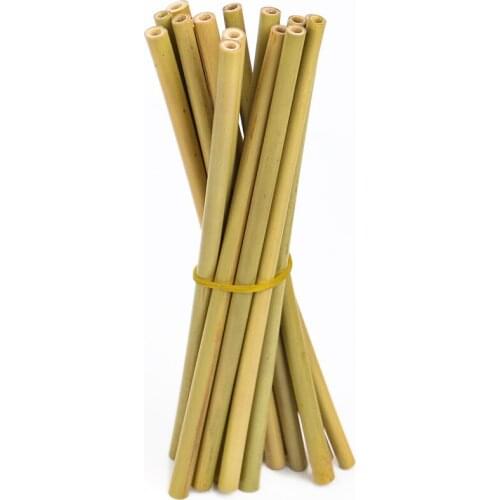 Muy Bien Reusable Cocktail Straws