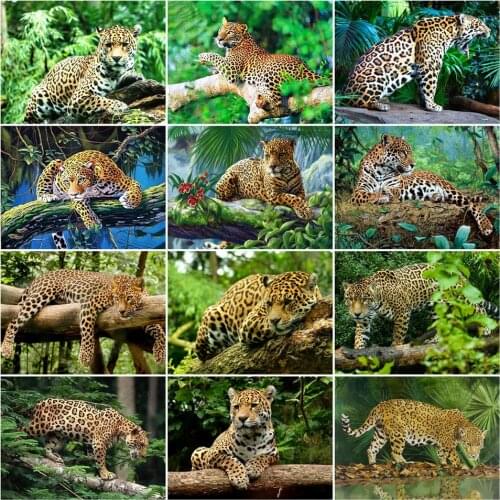 AZQSD Unframe DIY Oil Painting By Numbers On Canvas Animal Decoration Coloring By Numbers Leopard Abstract Art Handmade Gift