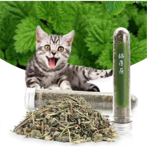 Catnip Natural Organic Premium Catnip Catmint Menthol Can Be Sprinkled on Toys and Catnip Toys Pleasing Pet Catnip Ball