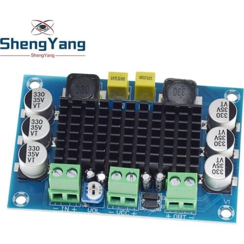 ShengYang TPA3116 D2 TPA3116DA DC 12V 24V 100W Mono Channel Digital Power Audio Amplifier Board TPA3116D2 Large Capacity Board