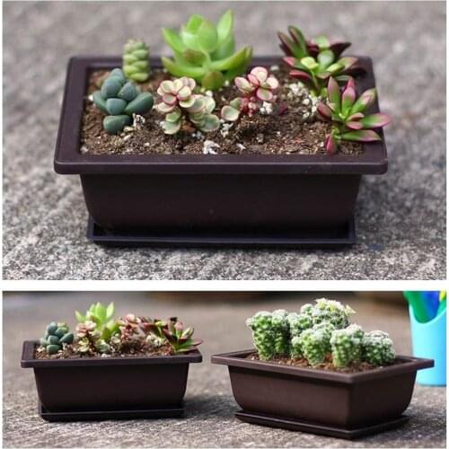 Succulent Flower Pot Square Rectangular Plastic Bonsai Flowerpot Garden Tool
